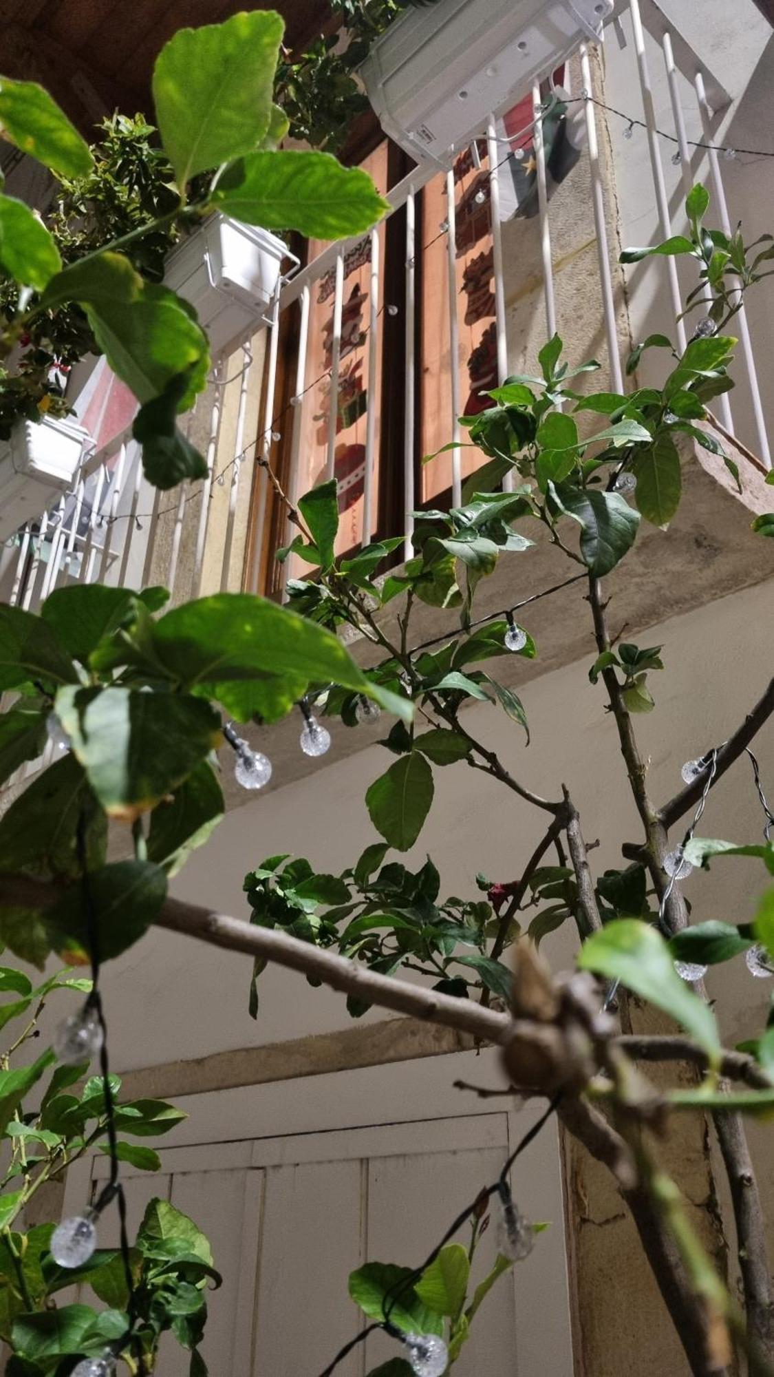 Appartamento In Parva Domus Bitonto Esterno foto